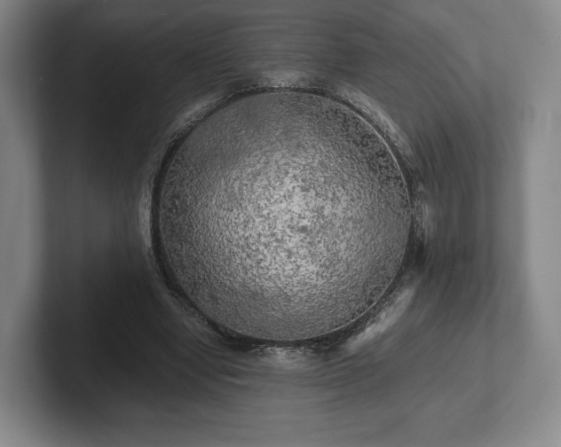 X0000101950442200807251138