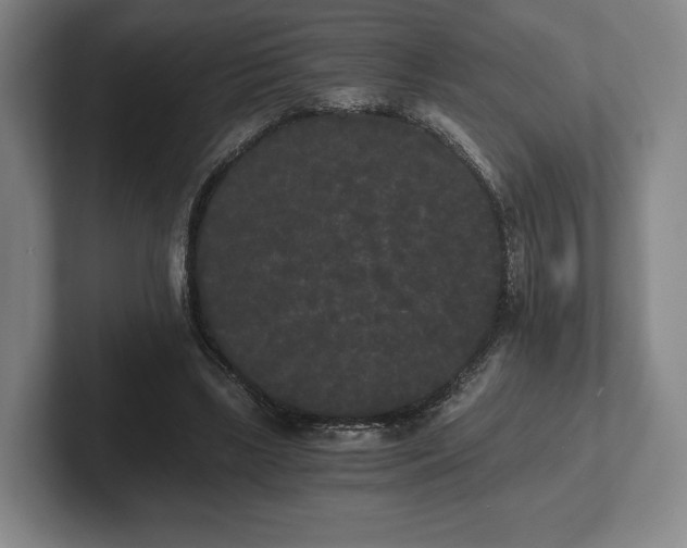 X0000101950443200807251138