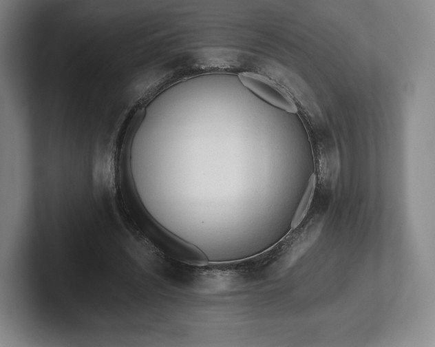 X0000101950444200807251138