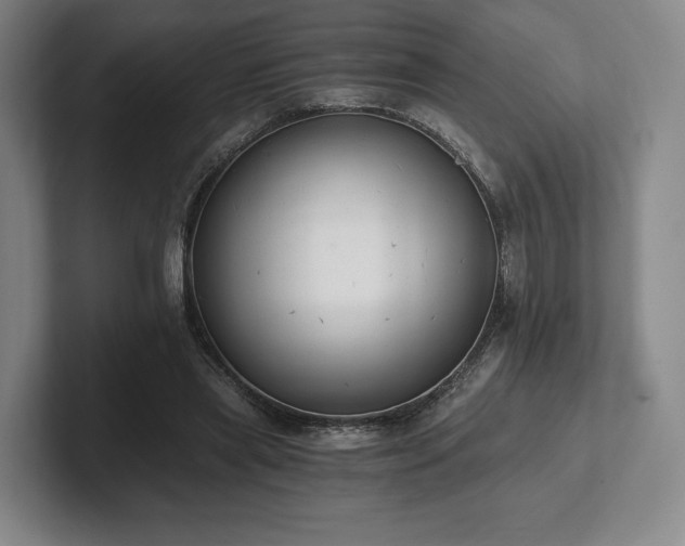 X0000101950445200807251138