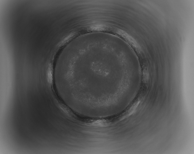 X0000101950446200807251138