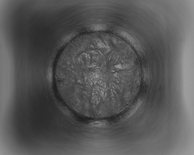 X0000101950447200807251138