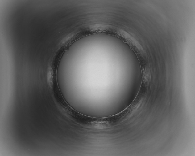 X0000101950448200807251138