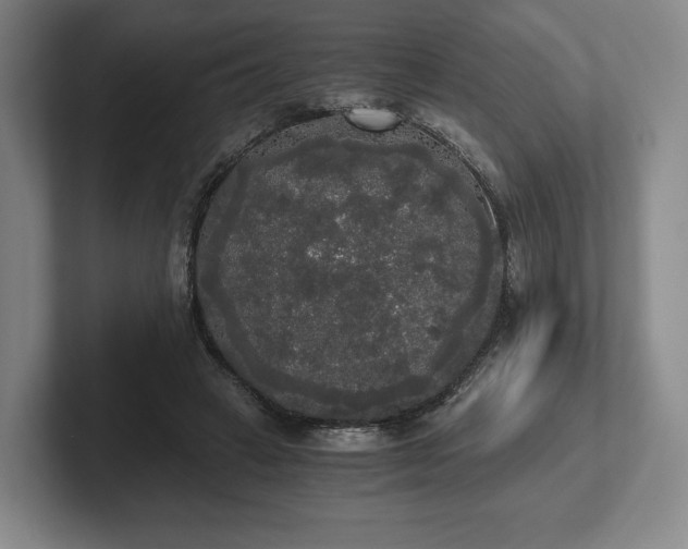 X0000101950449200807251138