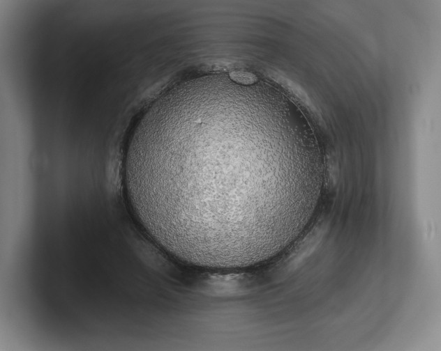 X0000101950450200807251138