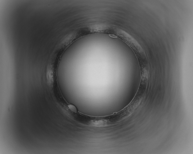 X0000101950452200807251138