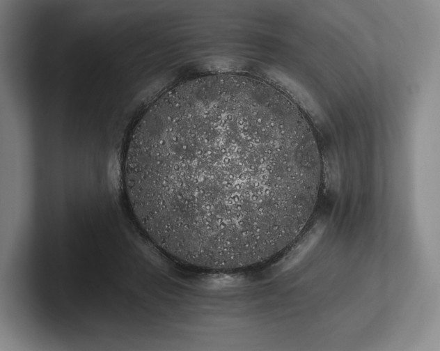 X0000101950453200807251138