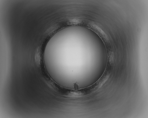 X0000101950455200807251138