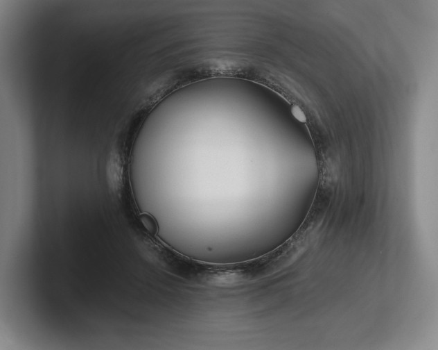 X0000101950456200807251138