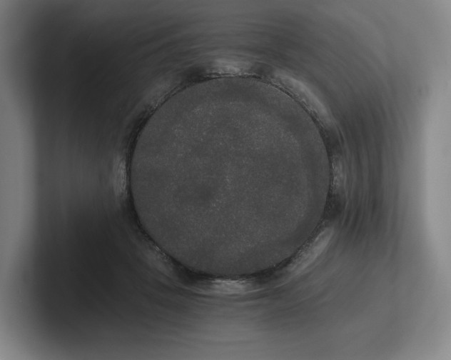 X0000101950457200807251138