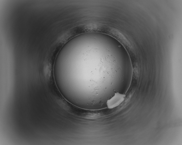 X0000101950458200807251138