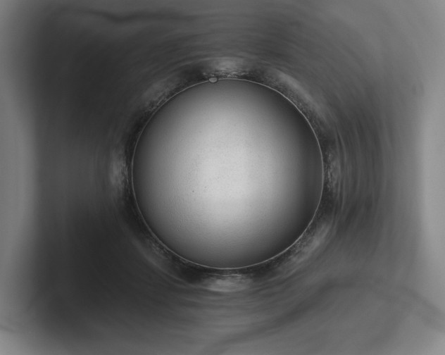 X0000101950459200807251138