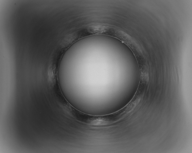 X0000101950460200807251138