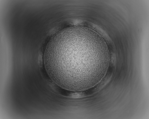 X0000101950461200807251138