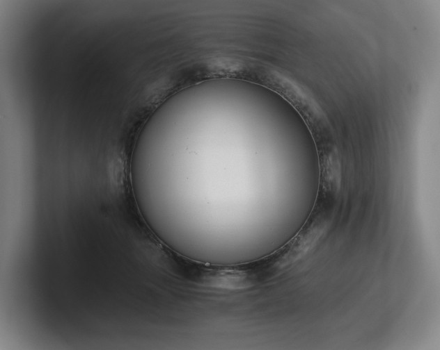 X0000101950463200807251138