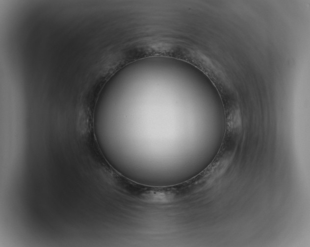 X0000101950464200807251138