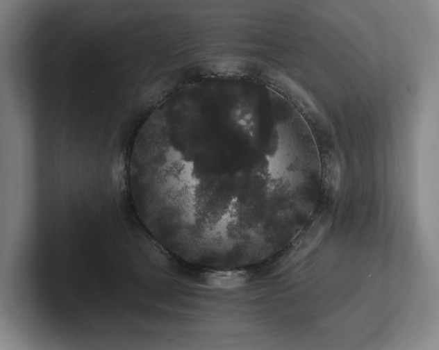 X0000101950465200807251138