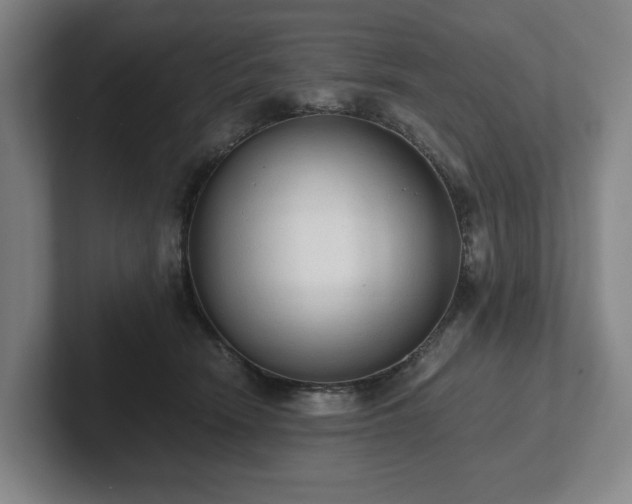 X0000101950466200807251138