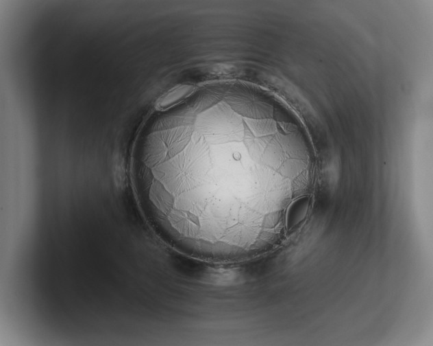 X0000101950469200807251138