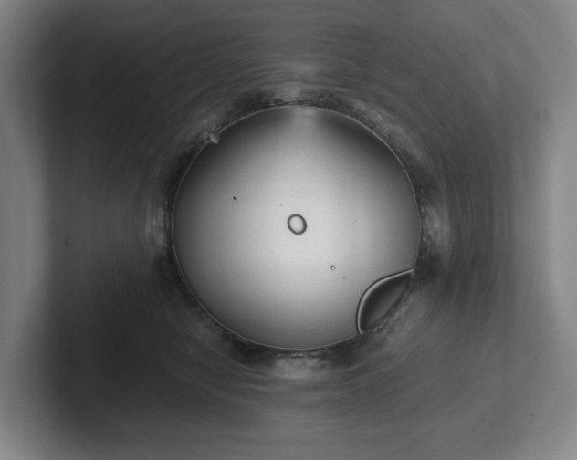 X0000101950470200807251138