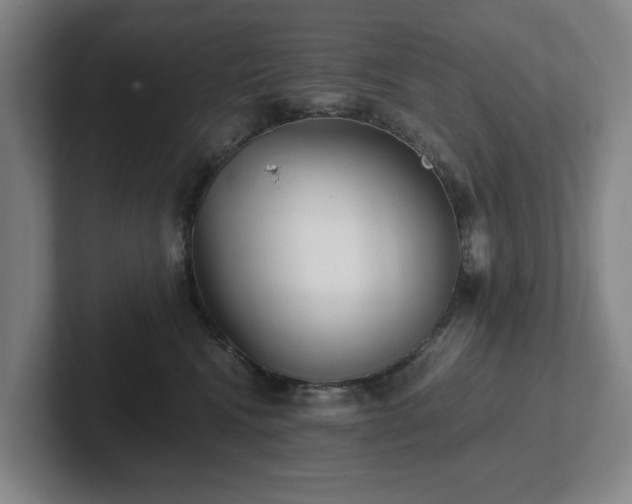 X0000101950472200807251138