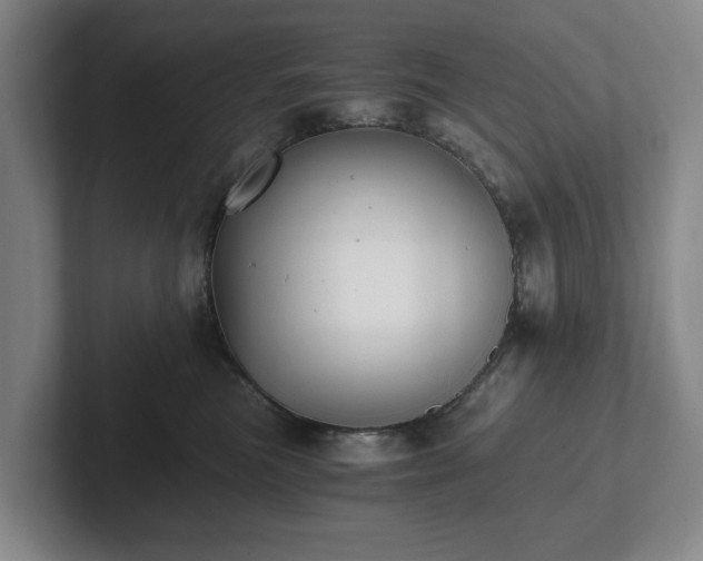 X0000101950473200807251138