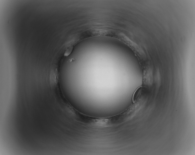 X0000101950474200807251138