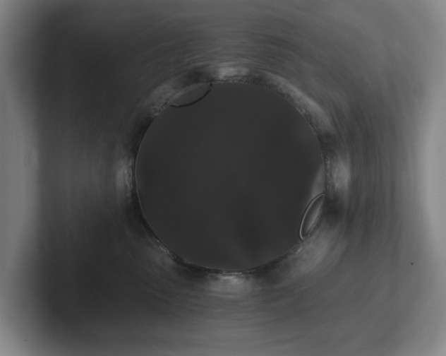 X0000101950475200807251138