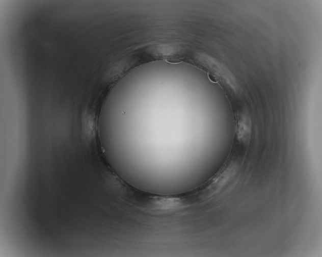 X0000101950476200807251138