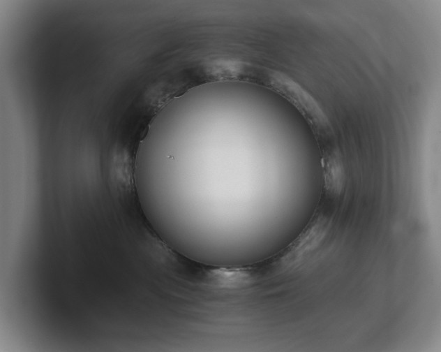 X0000101950477200807251138