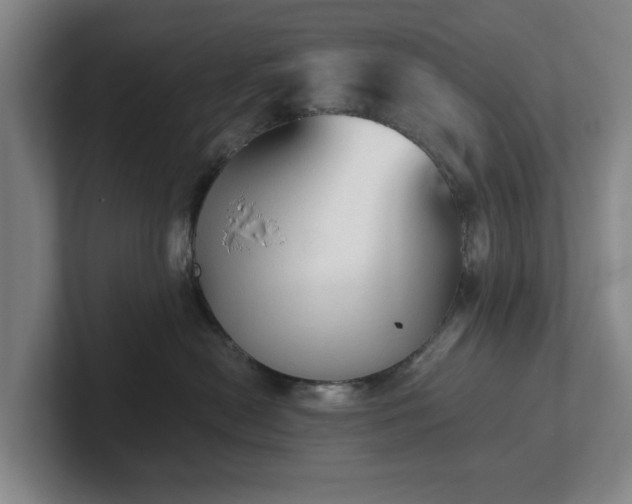 X0000101950478200807251138