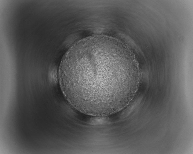 X0000101950479200807251138