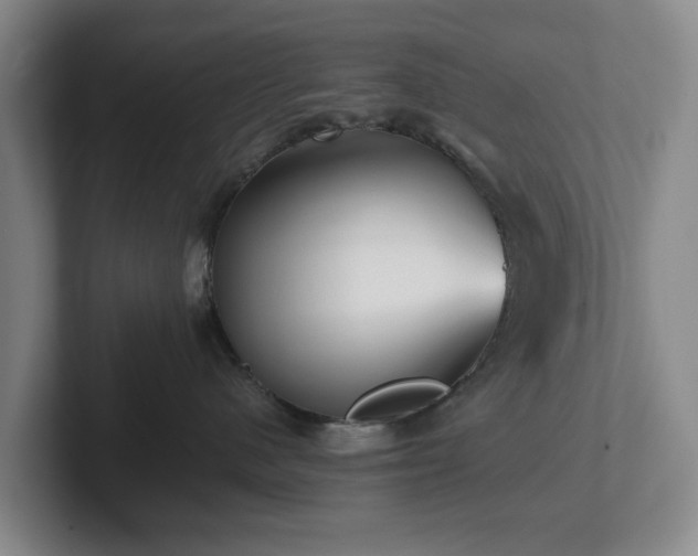 X0000101950480200807251138