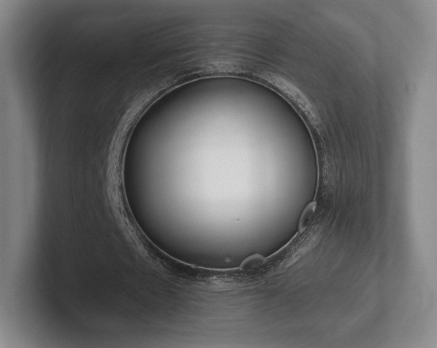 X0000101950481200807251137