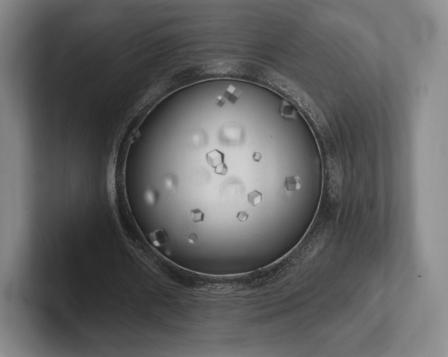 X0000101950482200807251137