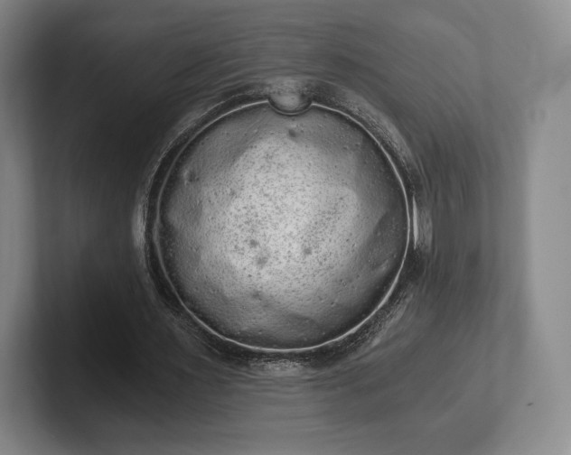 X0000101950483200807251137