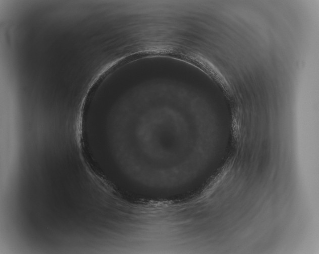 X0000101950484200807251137