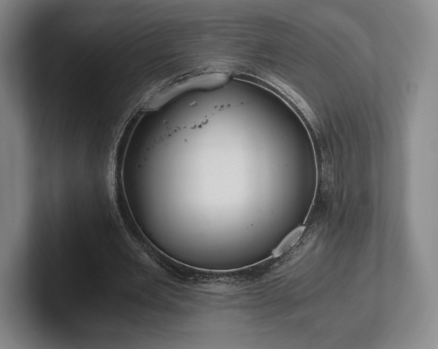 X0000101950485200807251137