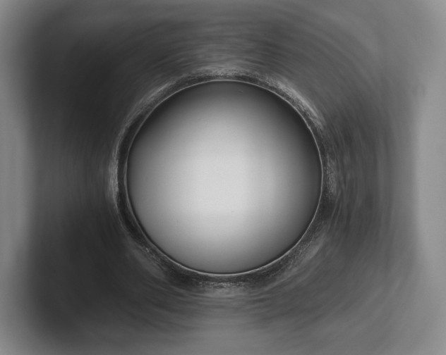 X0000101950486200807251137