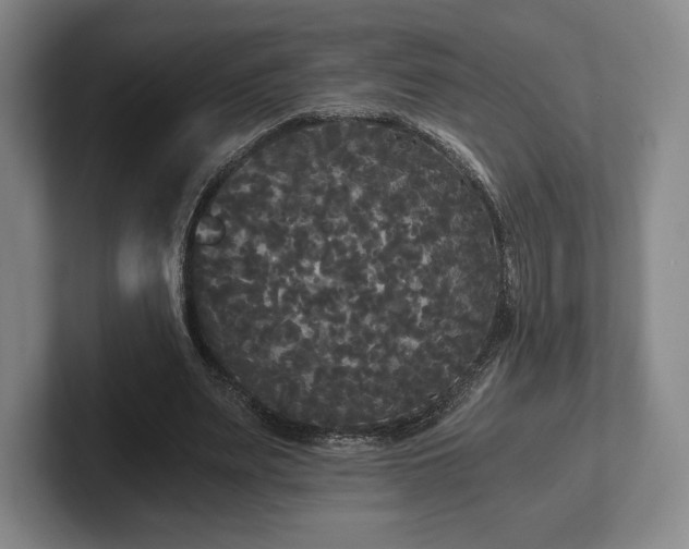 X0000101950487200807251137