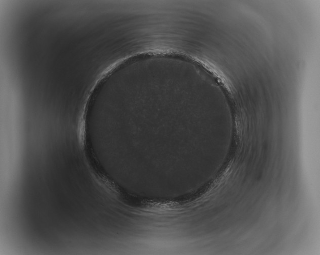 X0000101950488200807251137