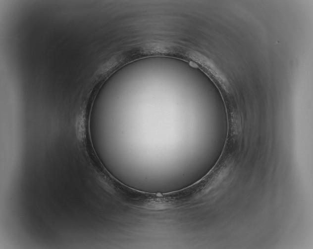 X0000101950489200807251137