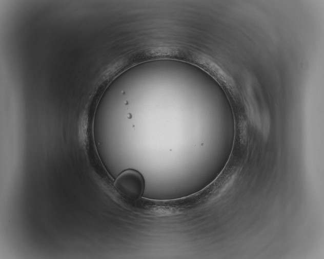 X0000101950490200807251137