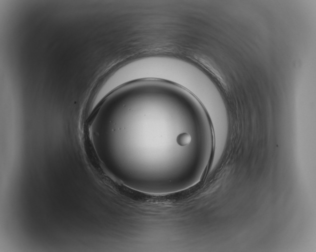 X0000101950491200807251137