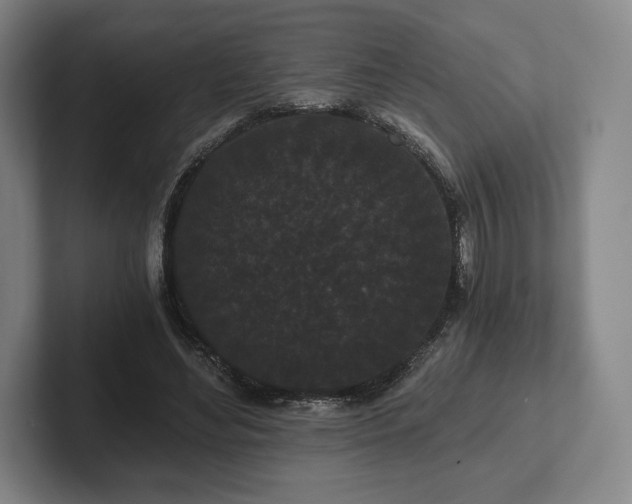 X0000101950492200807251137