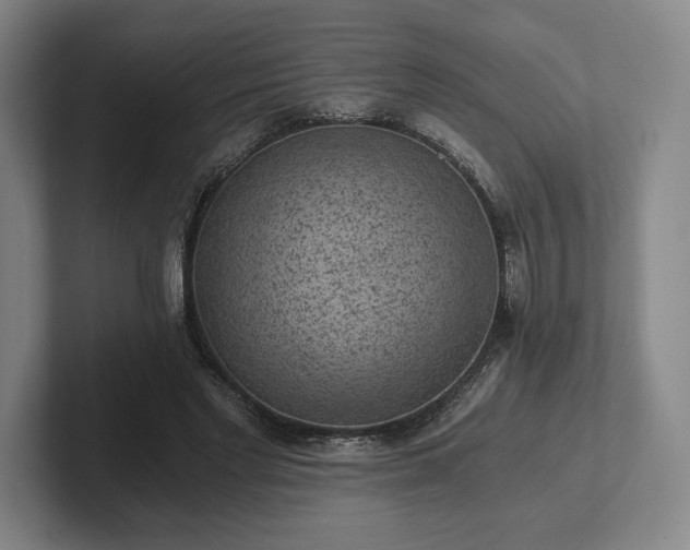 X0000101950493200807251137