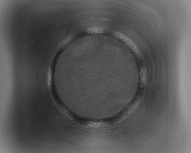 X0000101950494200807251137