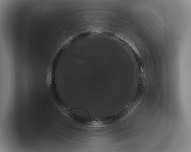 X0000101950496200807251137