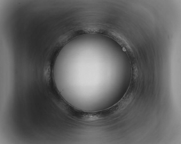 X0000101950498200807251137