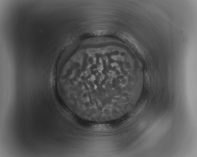 X0000101950499200807251137